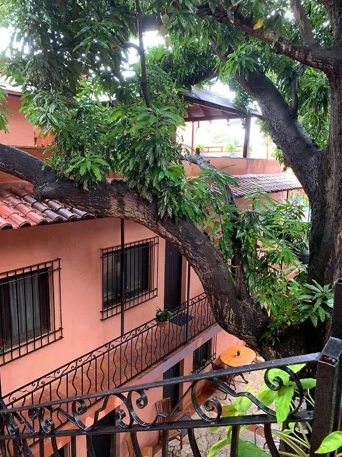 Hotel Mansion Colonial Dona Elvina Santo Domingo 0*,
